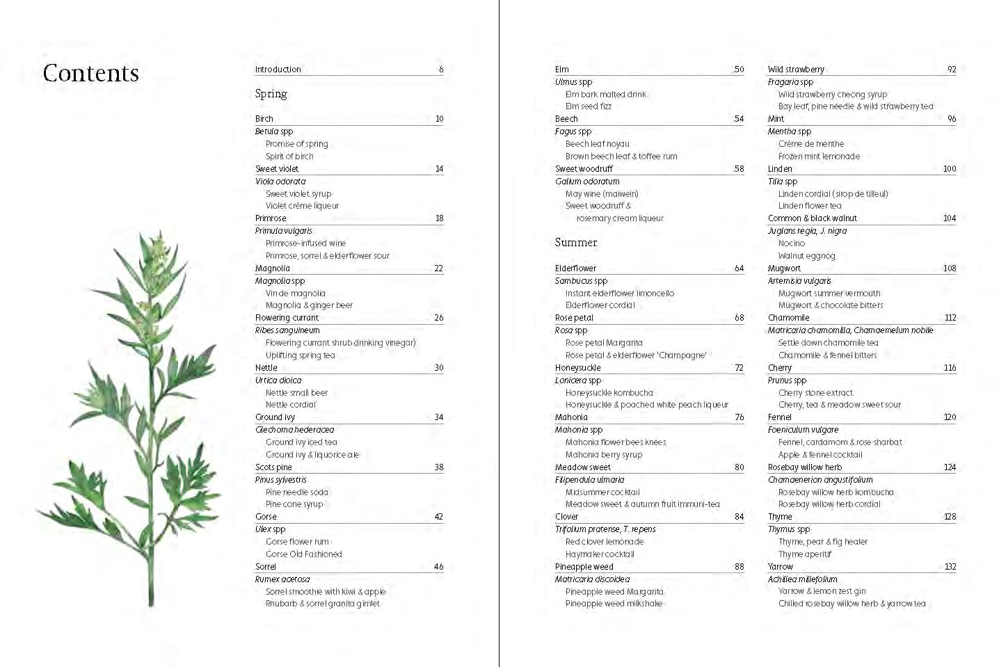 Foragers Guide To Wild Drinks